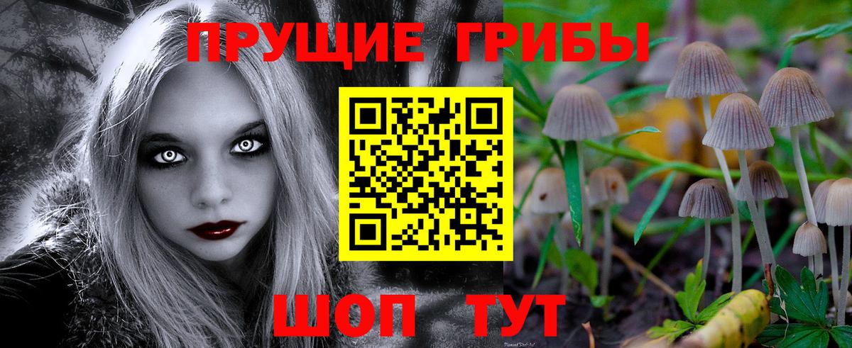 Псилоцибиновые грибы GOLDEN TEACHER Отрадный