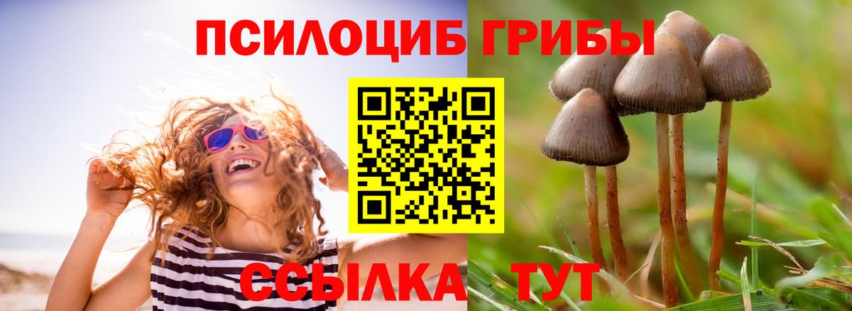Псилоцибиновые грибы прущие грибы  цены наркотик  Отрадный  Вход с VPN 
